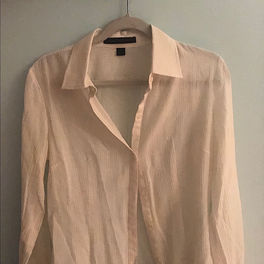 Express sheer blouse
